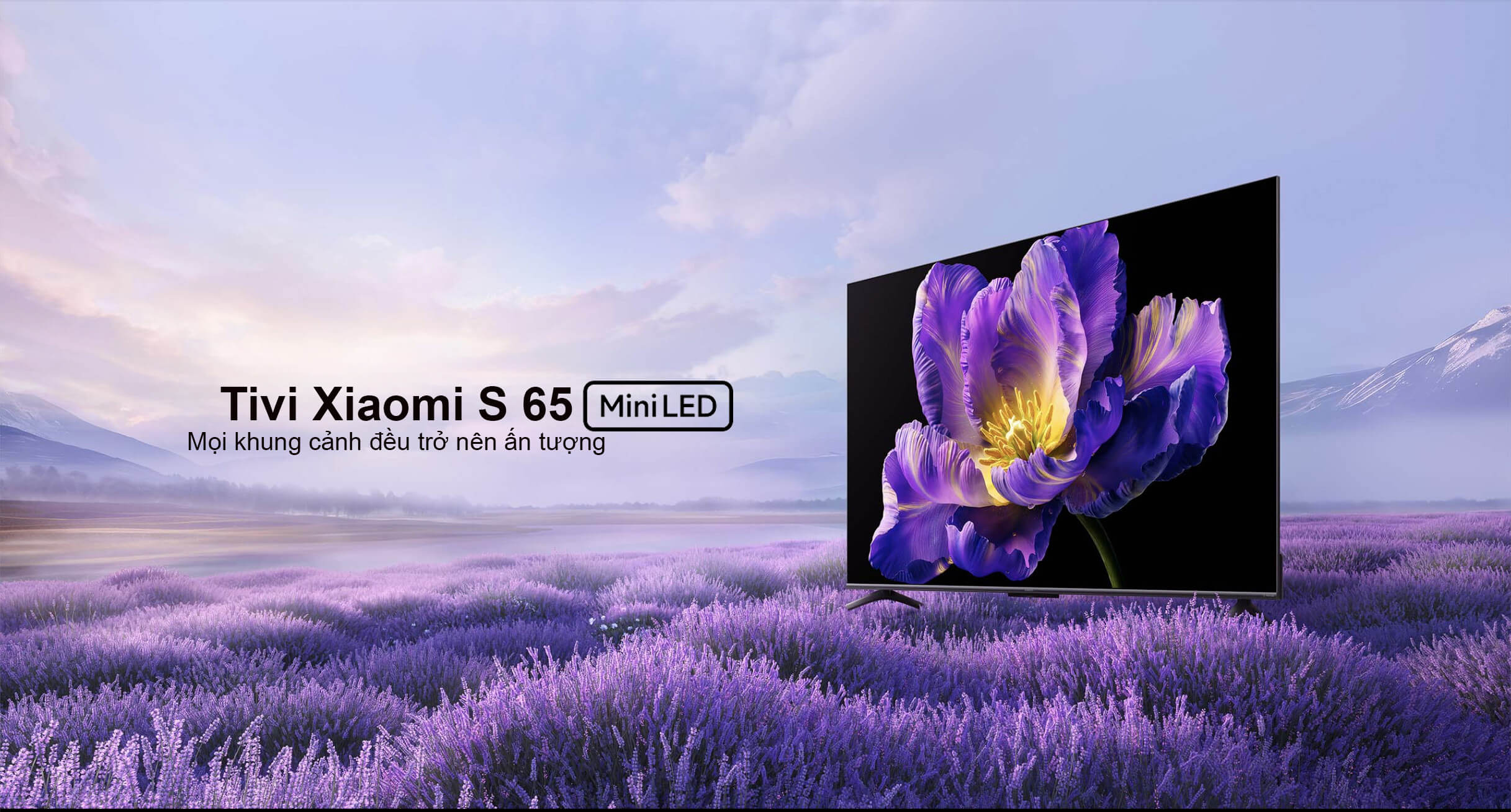 Tivi Xiaomi S65 Mini LED