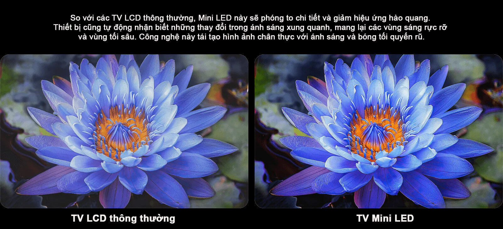 Tivi Xiaomi S 65 Mini LED 2025 Quốc Tế